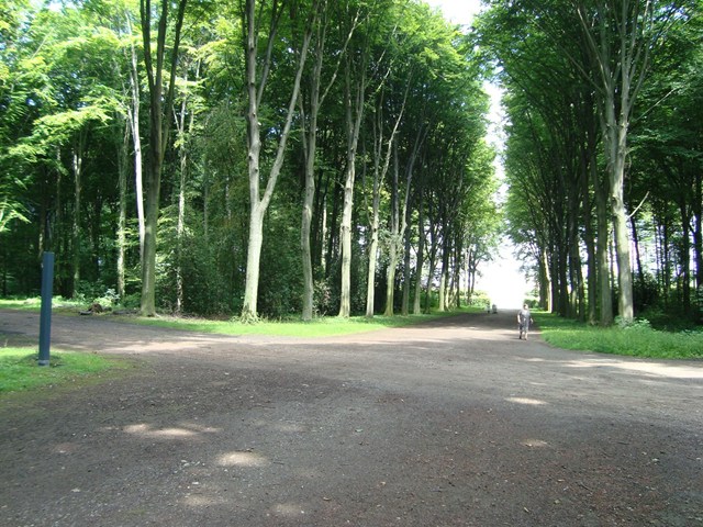 ファルケンルスト城へ分岐する、森の中の6叉路。